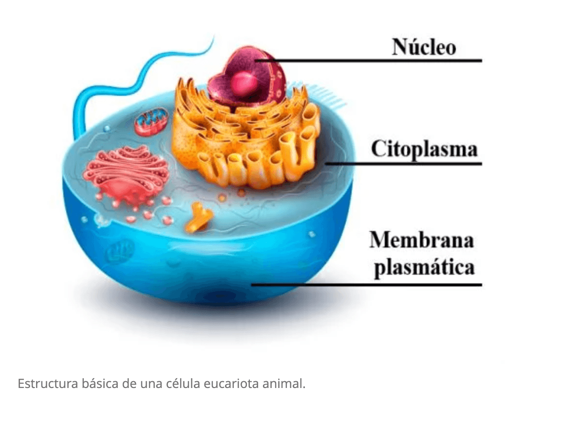 Captura de pantalla 2023-09-26 a las 9.41.38.png