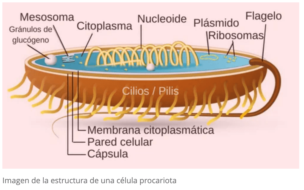 Captura de pantalla 2023-09-26 a las 9.43.25.png