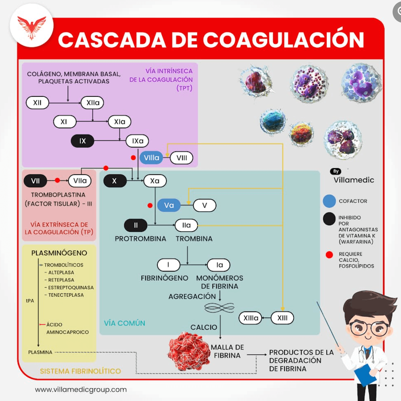 Captura de pantalla 2023-10-28 a las 11.33.49.png