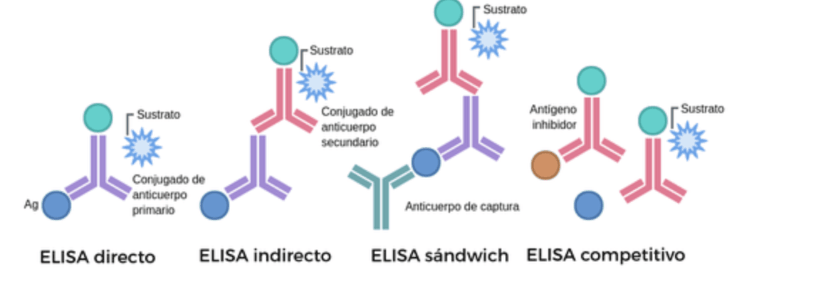 Captura de pantalla 2024-11-14 a las 10.16.57.png