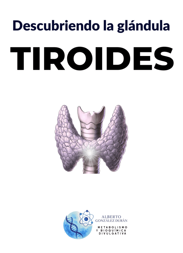 Descubriendo la glándula tiroides