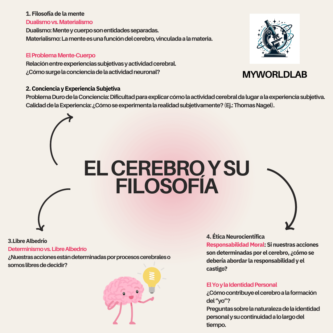 EL CEREBRO Y SU FILOSOFÍA