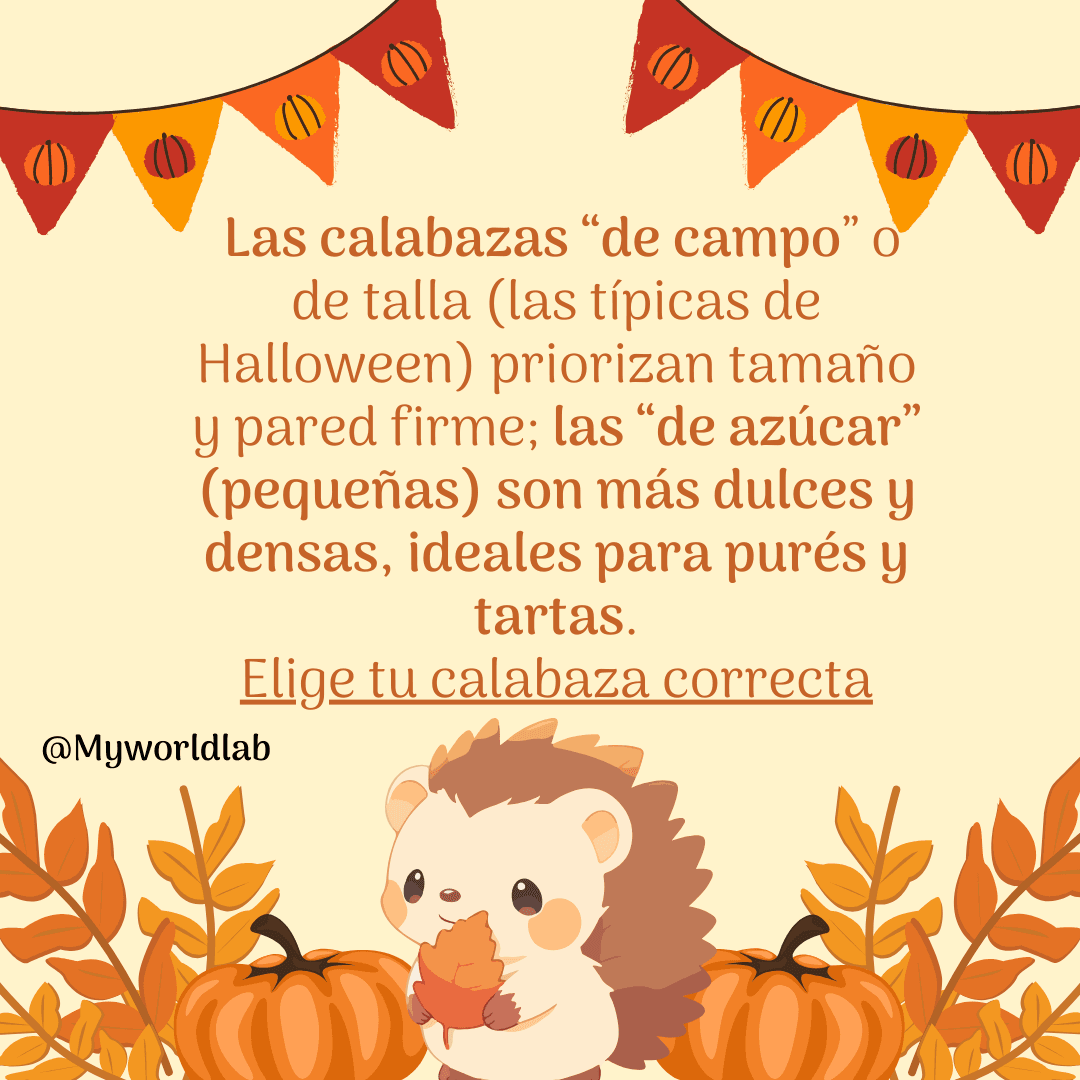 HALLOWEEN POST OTOÑO BLOG 2025 IMAGEN 1.png