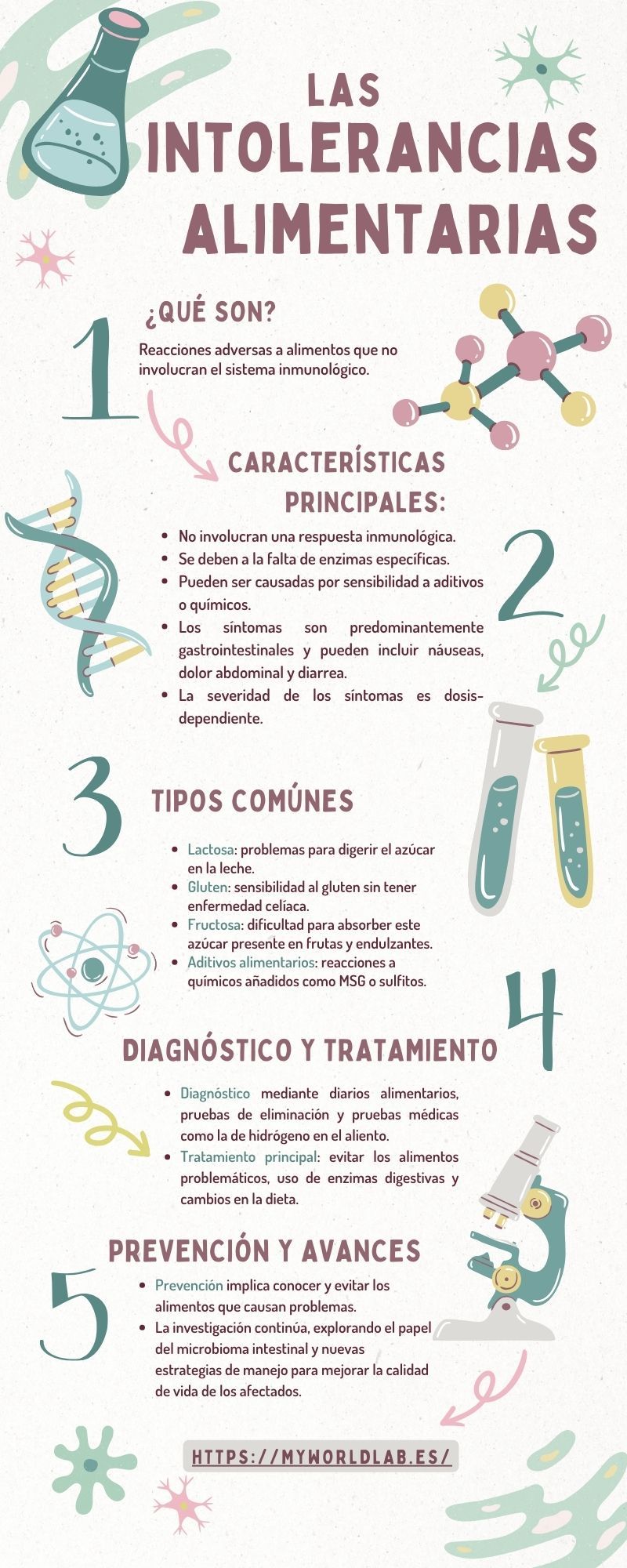 Infografía Reglas de Experimento Química Doodle Ilustrado Verde y Rosa Pastel.jpg