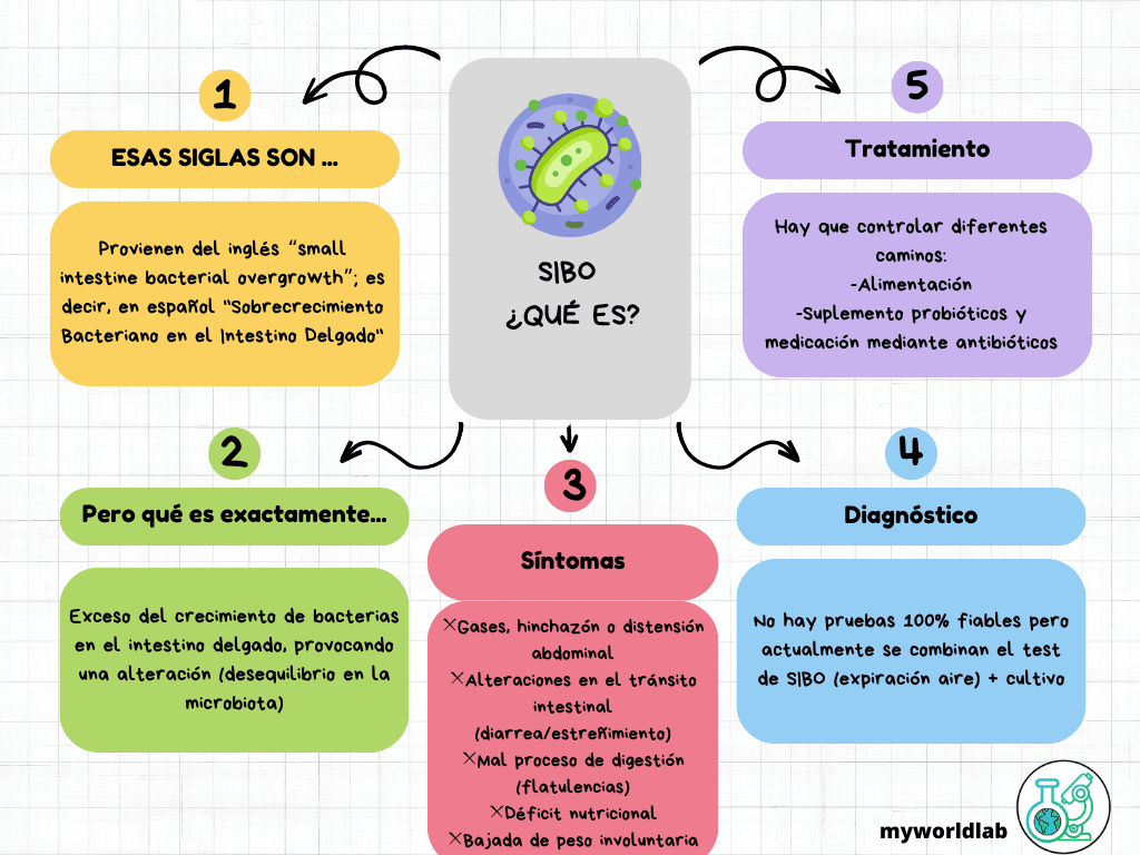 Mapa Conceptual Estrategia Doodle Multicolor.png