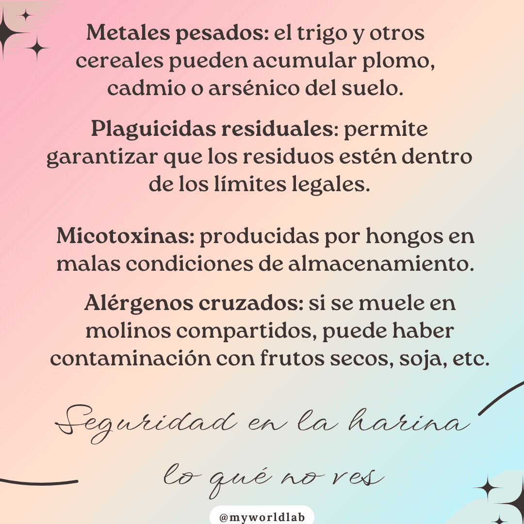 Infografía alimentación harina