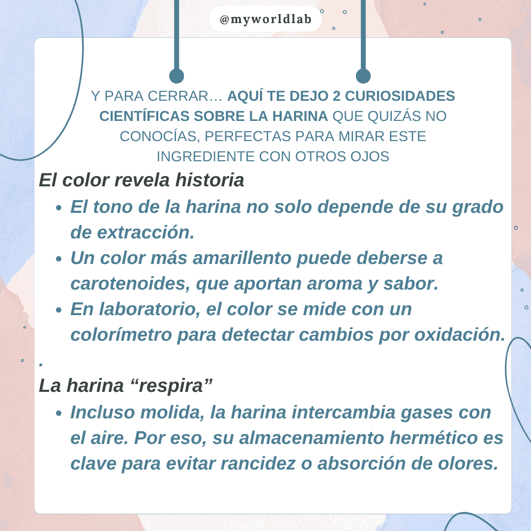 Infografía alimentación harina - 2