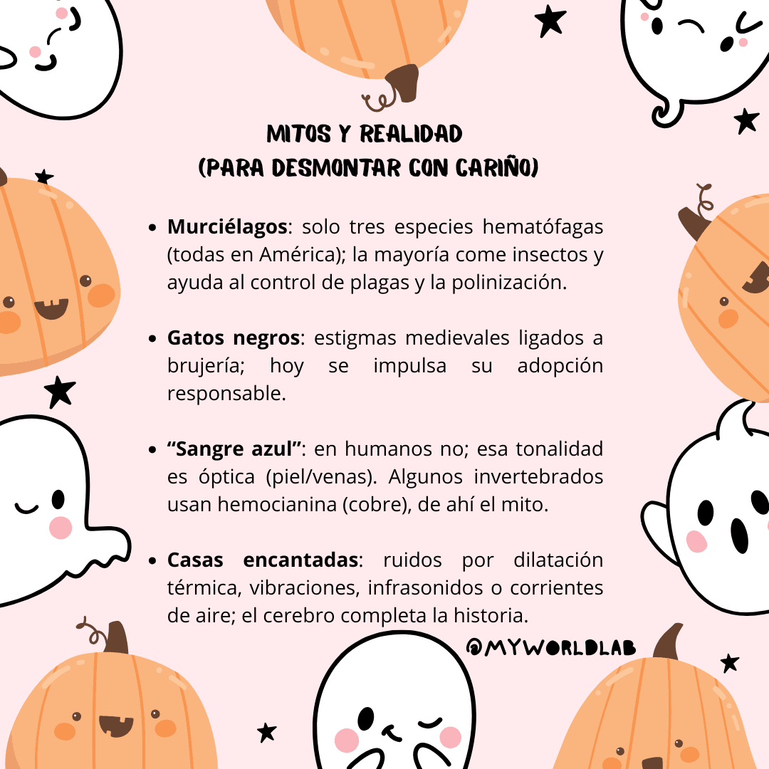 PANCARTA DE HALLOWEEN