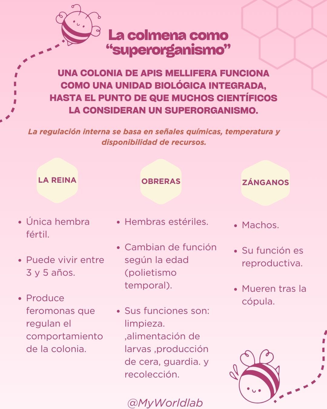 imagne post blog abeja.jpg