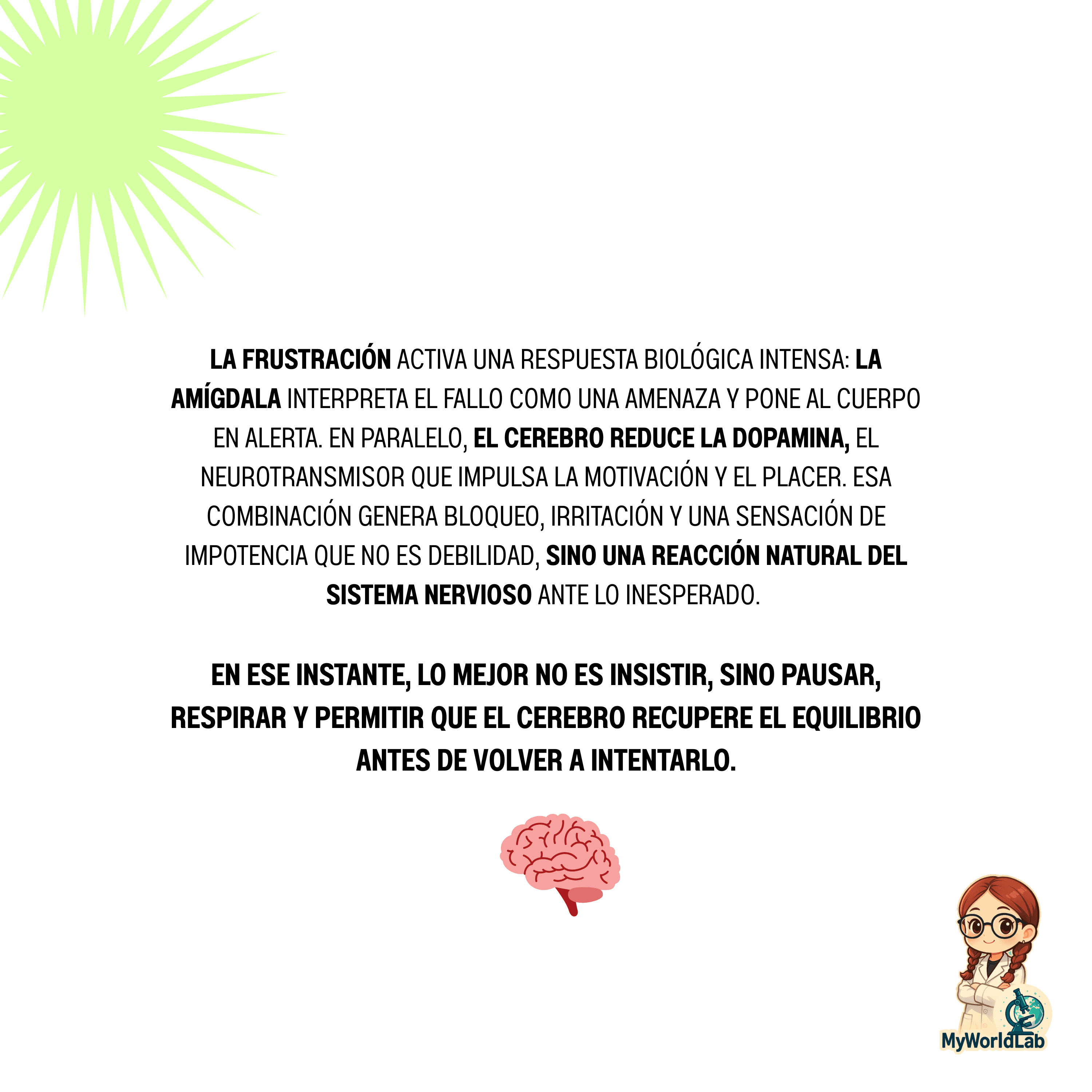 pagina myworldlab 2025 2 noviembre.png