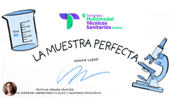 La Muestra perfecta nunca llegó